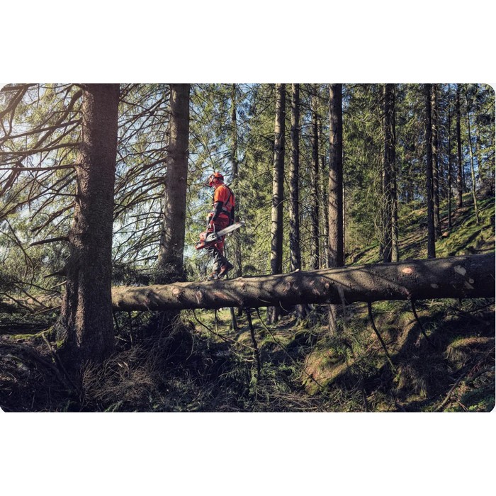 ΑΛΥΣΟΠΡΙΟΝΟ ΒΕΝΖΙΝΗΣ 572ΧΡ AutoTune ΛΑΜΑ  20΄΄